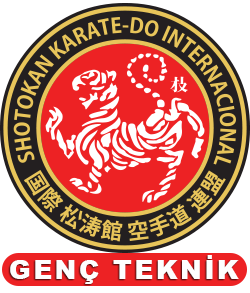 İzmir Karate Kursu-Genç Teknik Karate